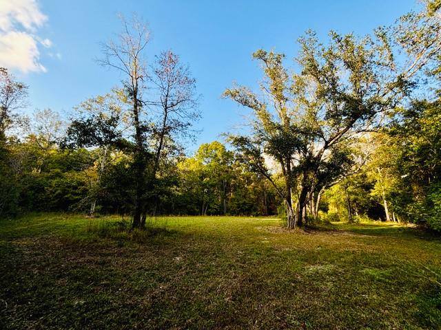 10.34 Acres E Moran Road, Pearl River, Louisiana image 4