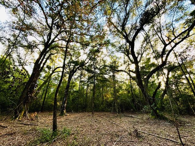 15 Acres E Moran Road, Pearl River, Louisiana image 2