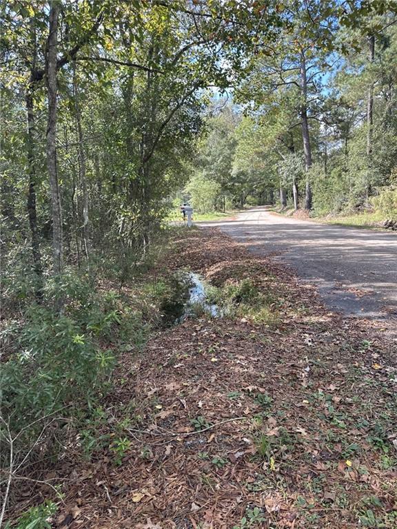 27823 J C Stewart Road, Albany, Louisiana image 6