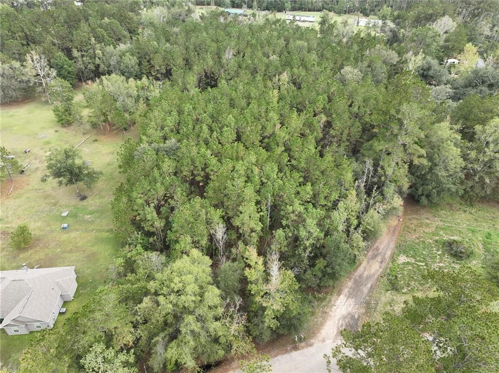 27823 J C Stewart Road, Albany, Louisiana image 9