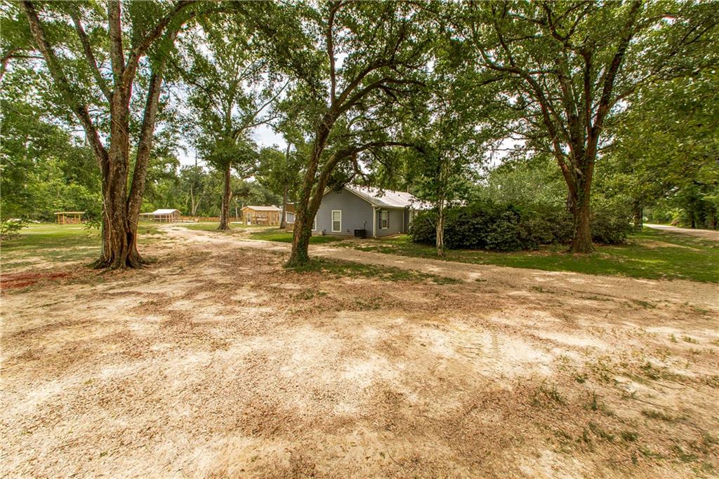 16698 Meisner Road, Springfield, Louisiana image 18