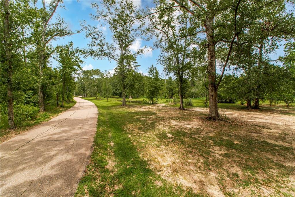 6.9 AC Meisner Road, Springfield, Louisiana image 16