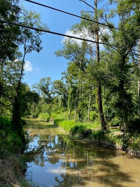 Weinberger Road, Ponchatoula, Louisiana image 1