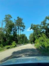 Weinberger Road, Ponchatoula, Louisiana image 19