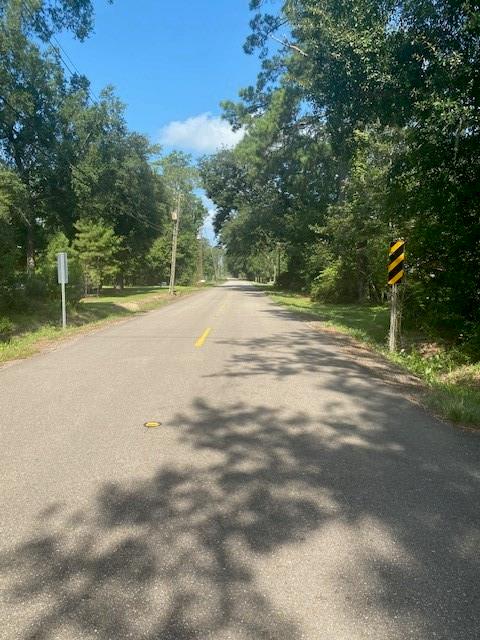 Weinberger Road, Ponchatoula, Louisiana image 8