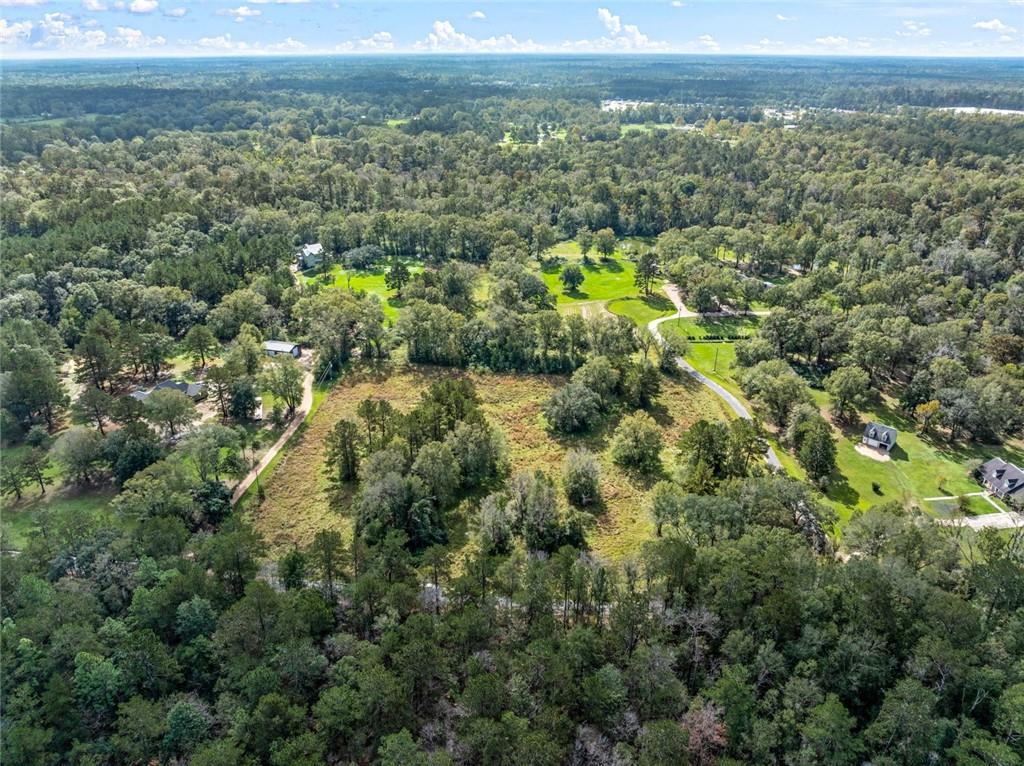 6.40 ACRE TRACT - Cypress Lane, Robert, Louisiana image 2