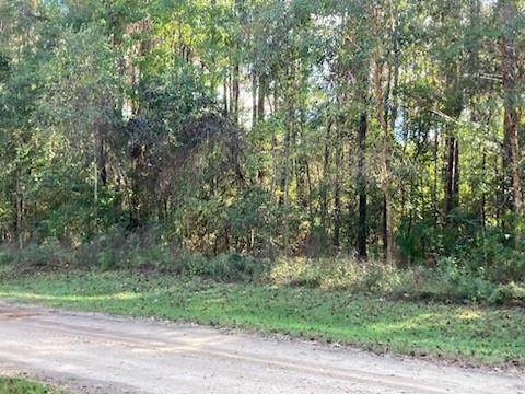 Lake Drive, Angie, Louisiana image 1