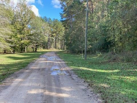 Lake Drive, Angie, Louisiana image 2