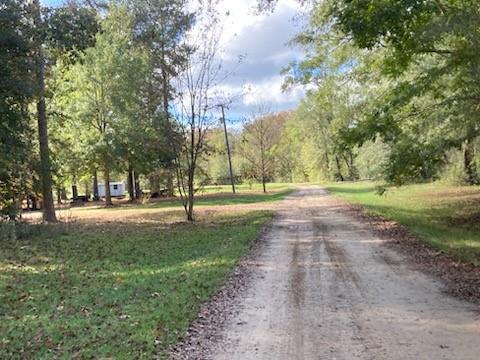 Lake Drive, Angie, Louisiana image 3