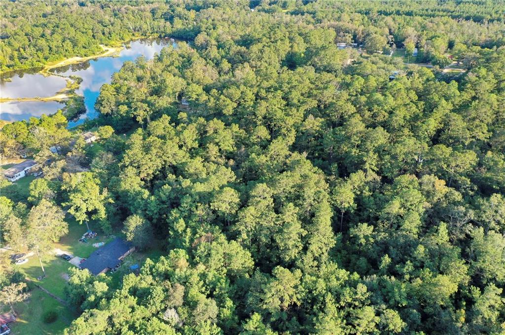 Howard Oberry Road, Pearl River, Louisiana image 4