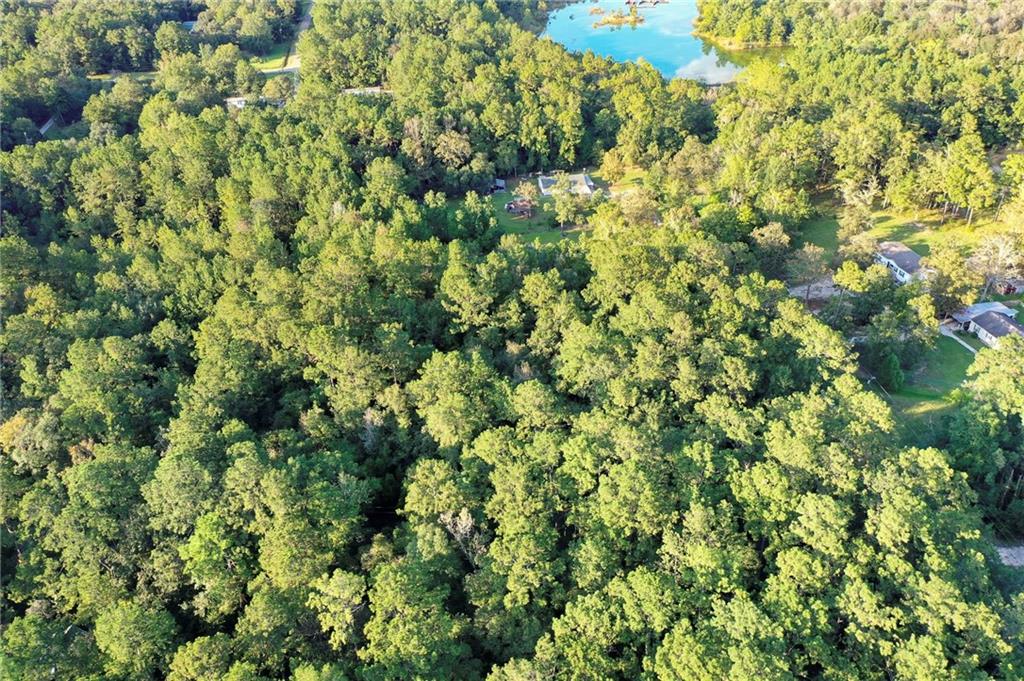 Howard Oberry Road, Pearl River, Louisiana image 8