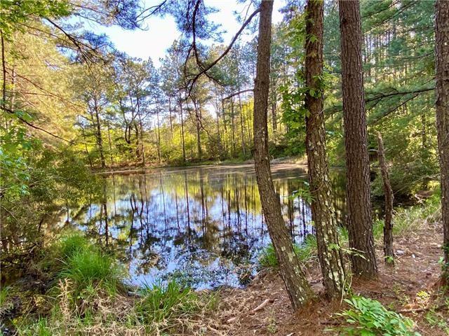 17197 &17203 Skeet Statham Road, Bogalusa, Louisiana image 7