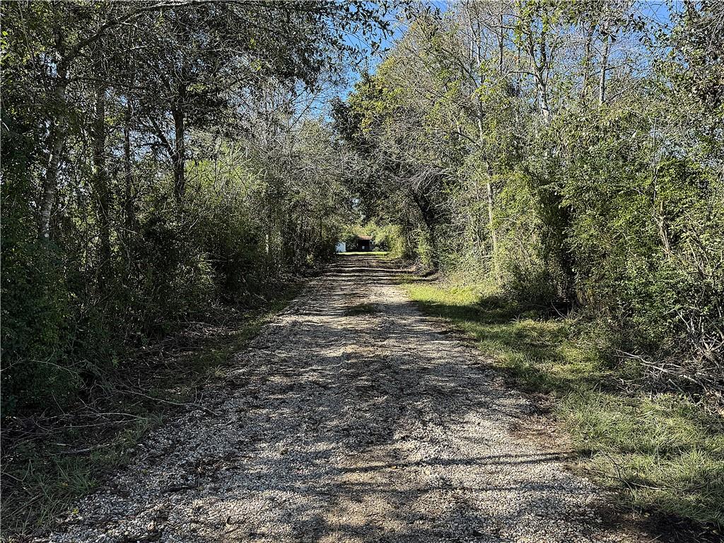 10.6 Acres Barney Core Road, Folsom, Louisiana image 4