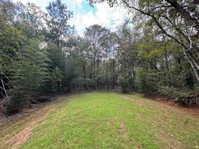 74.23 Acres Larock Road, Amite, Louisiana image 2