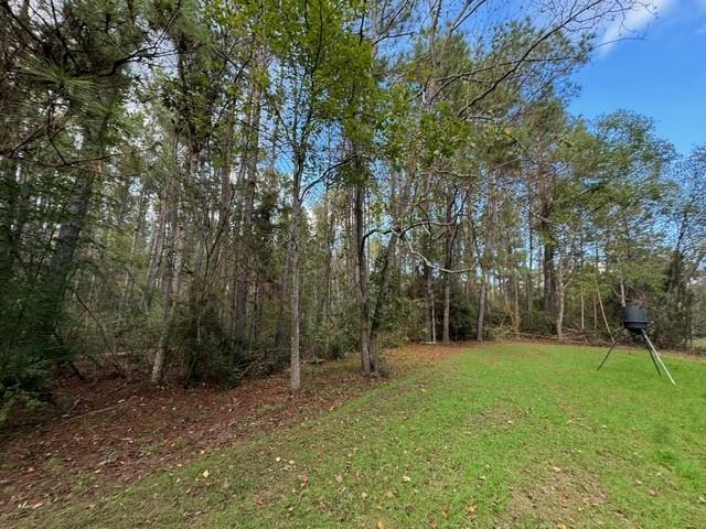 74.23 Acres Larock Road, Amite, Louisiana image 4