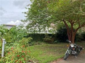218 Pelican Avenue, New Orleans, Louisiana image 7