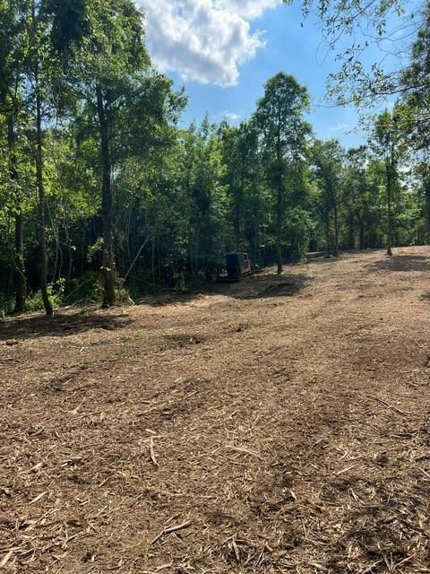 Lot 30/32 Bridge View, Carriere, Mississippi image 1