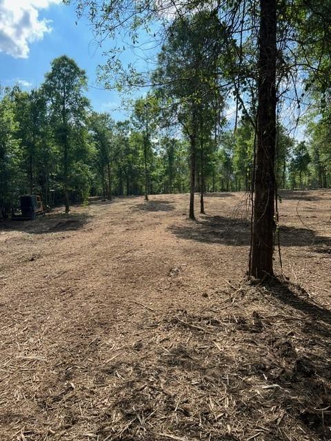 Lot 30/32 Bridge View, Carriere, Mississippi image 2