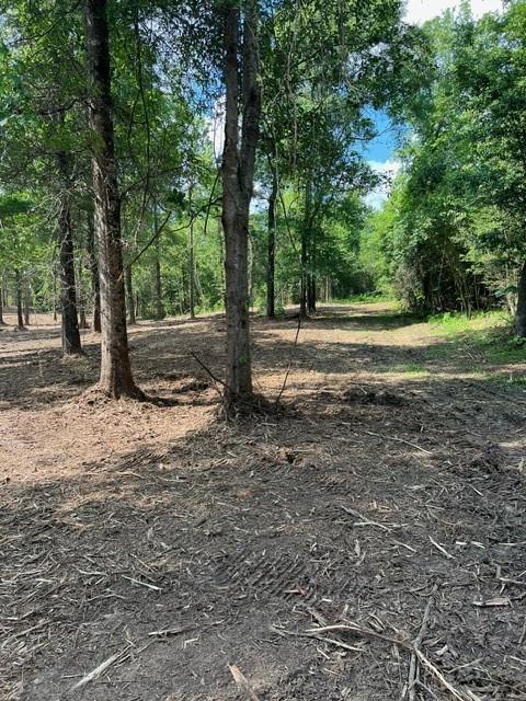 Lot 30/32 Bridge View, Carriere, Mississippi image 5