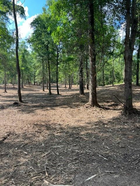 Lot 32 Bridge View, Carriere, Mississippi image 4