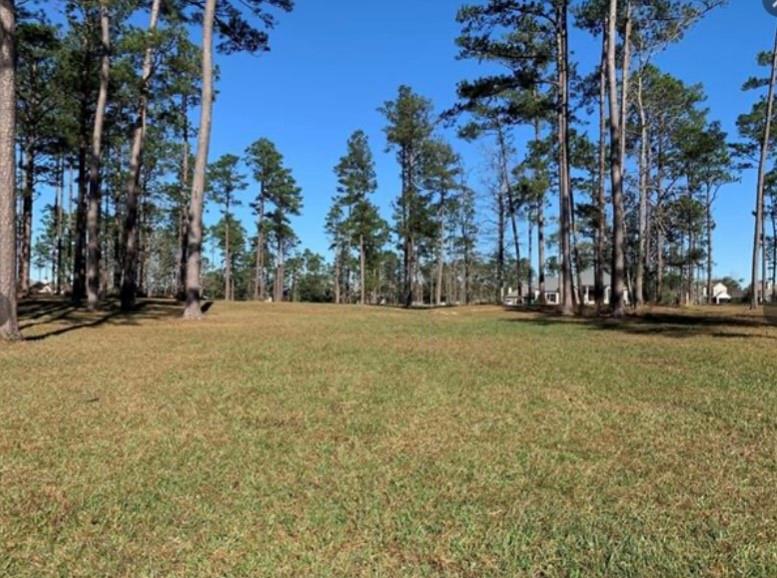 125 Hidden Lake Loop, Abita Springs, Louisiana image 1