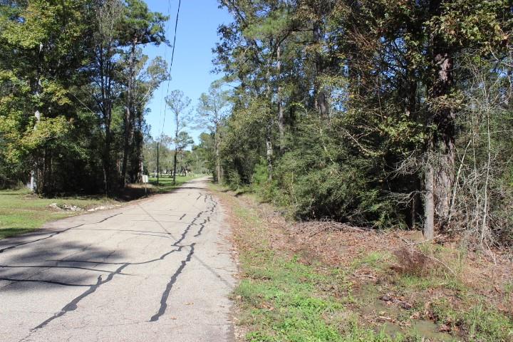 Happy Woods Road, Springfield, Louisiana image 1