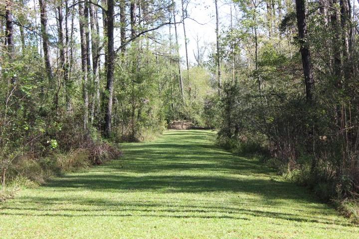 Happy Woods Road, Springfield, Louisiana image 15