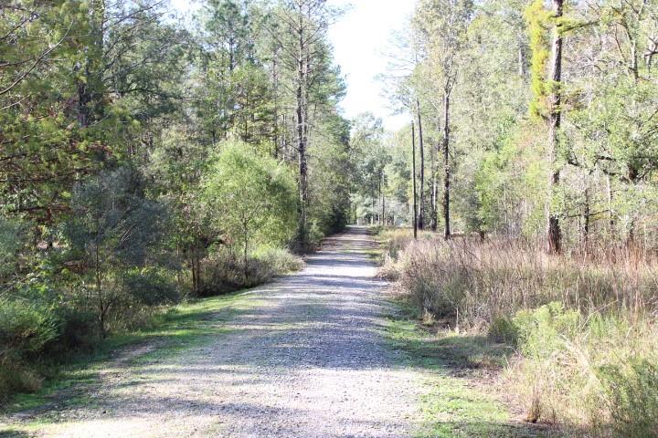 Happy Woods Road, Springfield, Louisiana image 3