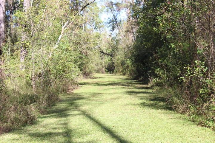 Happy Woods Road, Springfield, Louisiana image 5