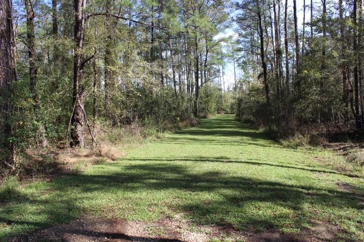 Happy Woods Road, Springfield, Louisiana image 9