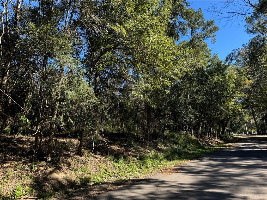 1050/1026 Villere Street, Mandeville, Louisiana image 1