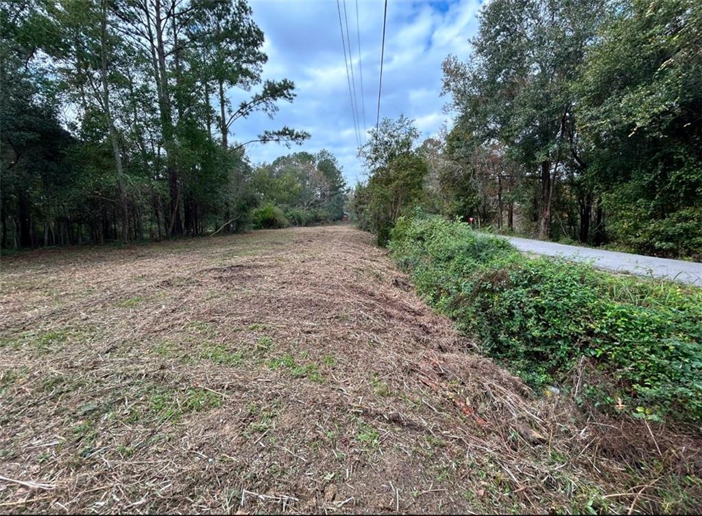 1050/1026 Villere Street, Mandeville, Louisiana image 4