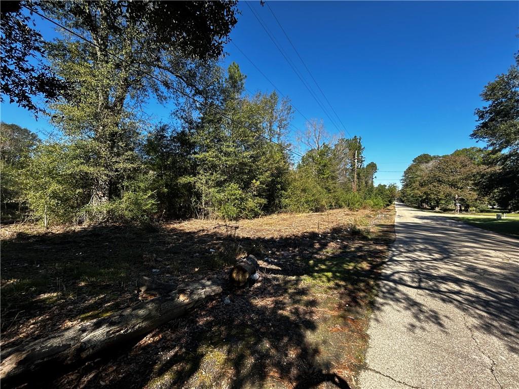 Cafeline Road, Albany, Louisiana image 3