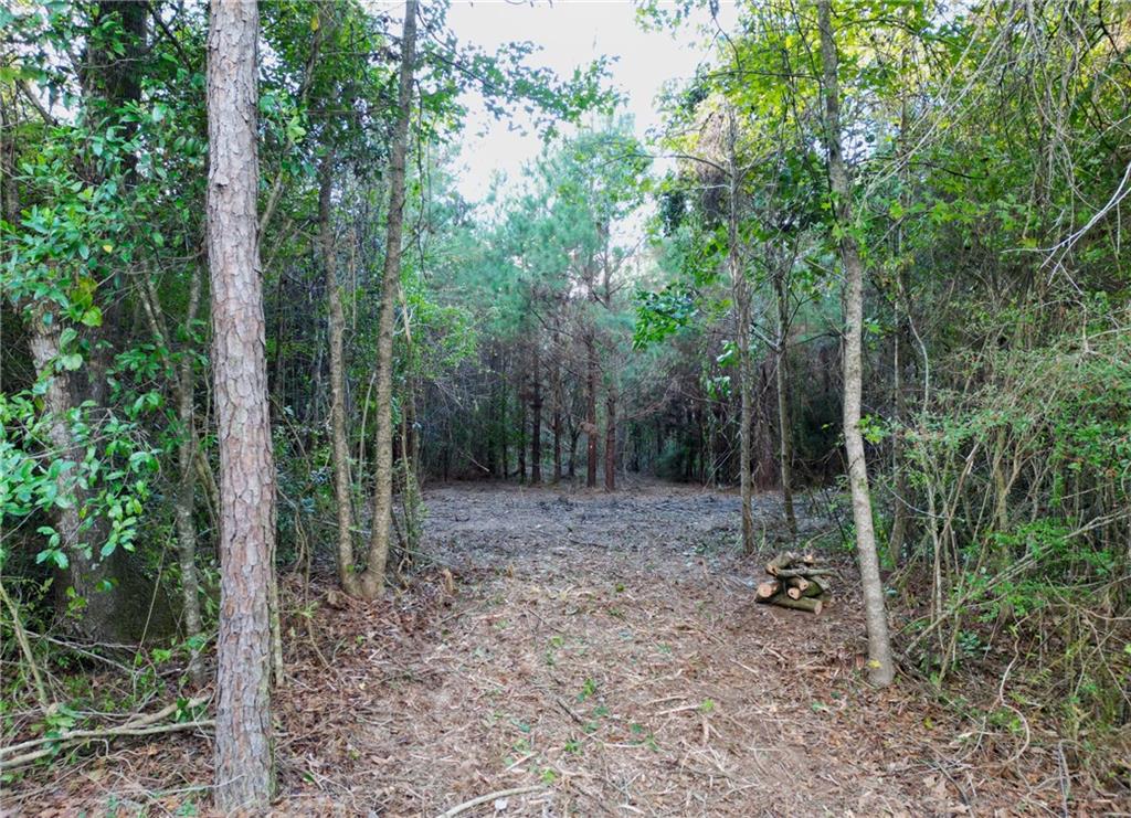 Lot 5 62 Highway, Angie, Louisiana image 2