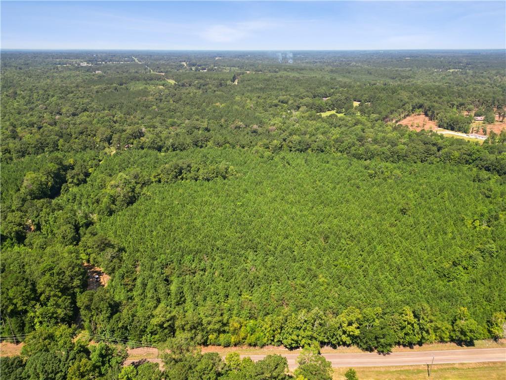 29859 Hwy 62 Highway, Angie, Louisiana image 9