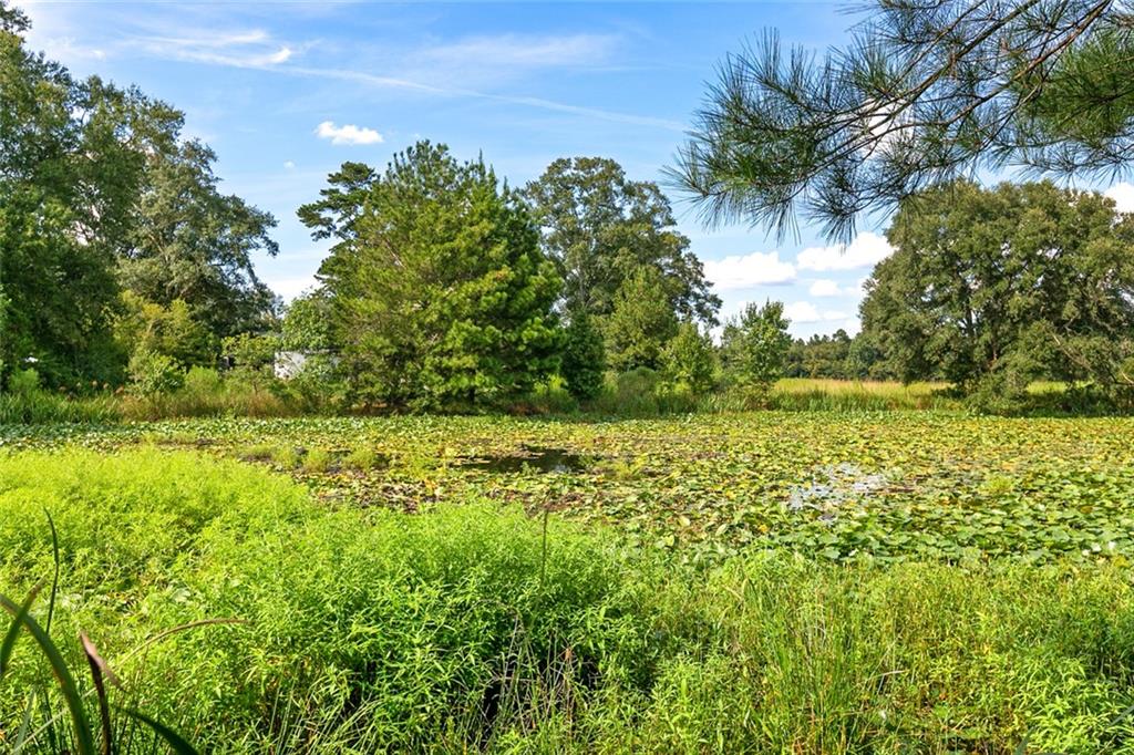 Rosewood Lane, Bogalusa, Louisiana image 3