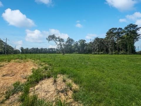 3.431 Acres Highway 16, Amite, Louisiana image 2