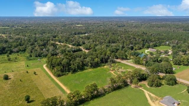 3.431 Acres Highway 16, Amite, Louisiana image 3