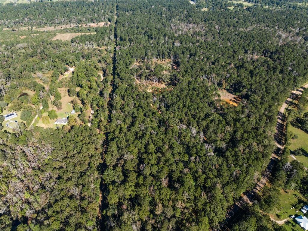 17.77 Acres Nicaud Road, Folsom, Louisiana image 12