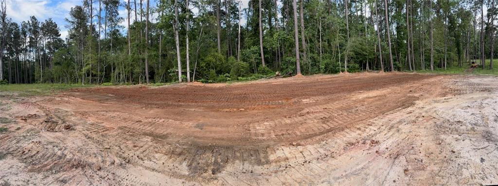 17.77 Acres Nicaud Road, Folsom, Louisiana image 19