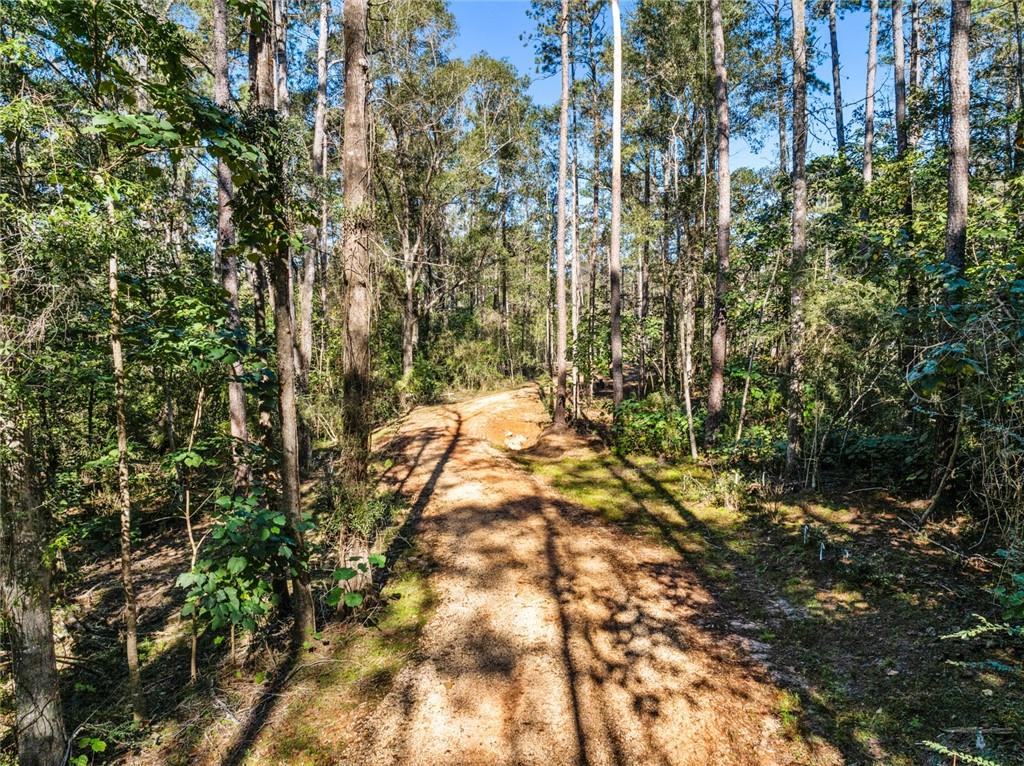 17.77 Acres Nicaud Road, Folsom, Louisiana image 3