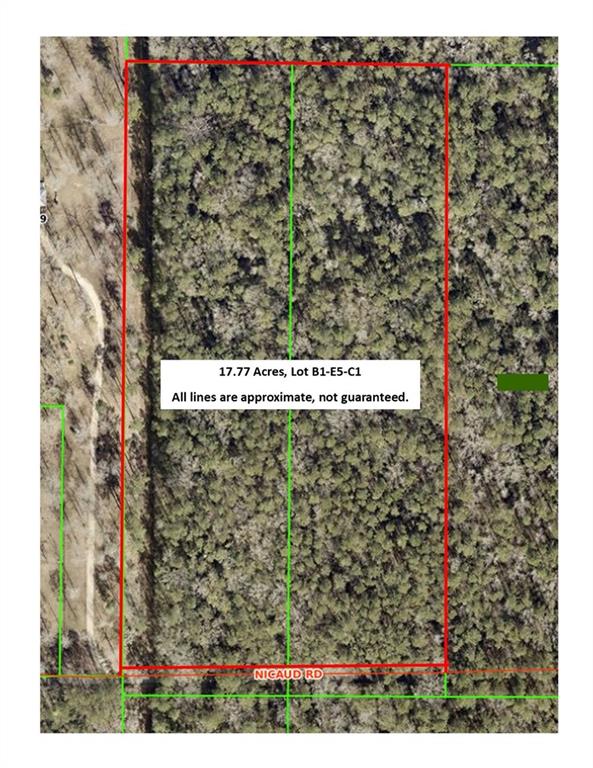 17.77 Acres Nicaud Road, Folsom, Louisiana image 6