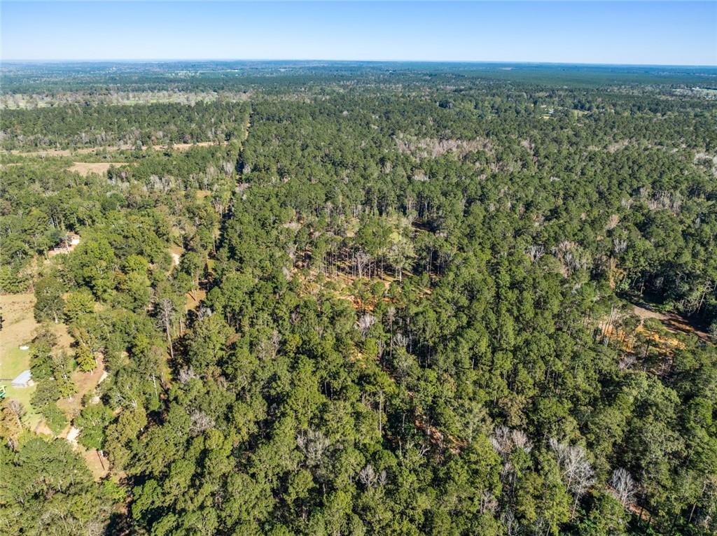 17.77 Acres Nicaud Road, Folsom, Louisiana image 7