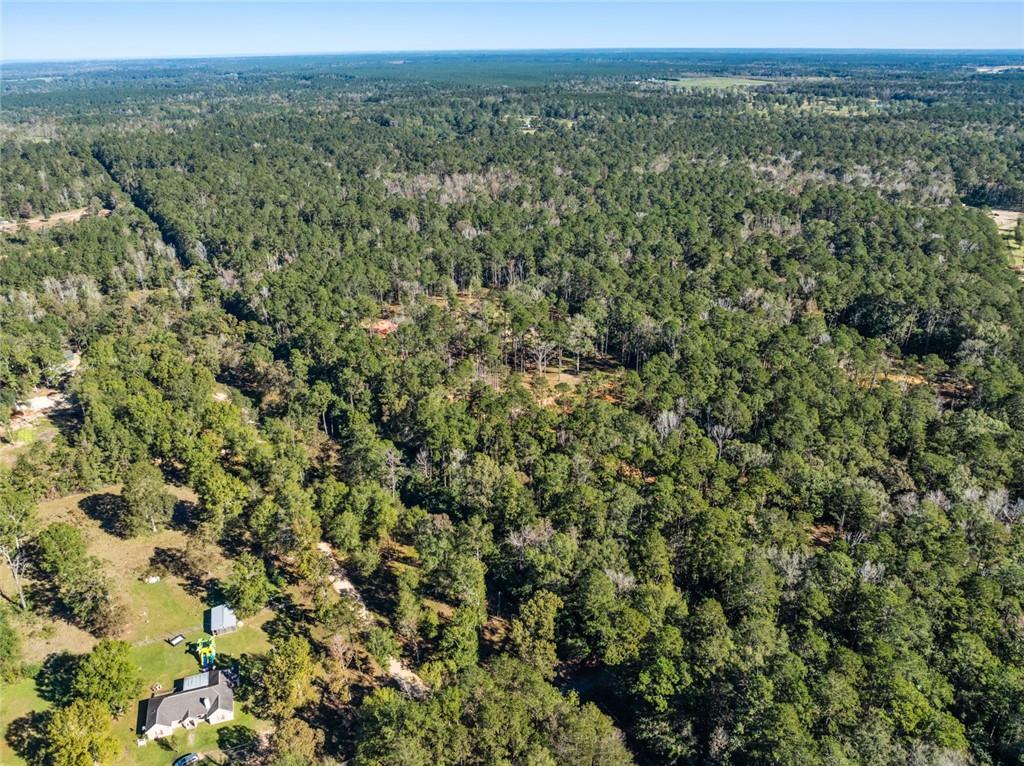 17.77 Acres Nicaud Road, Folsom, Louisiana image 9