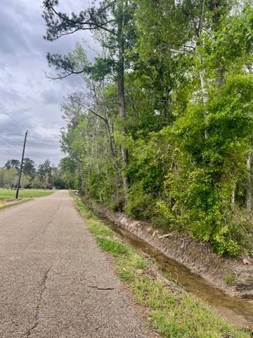 James King Road, Albany, Louisiana image 3