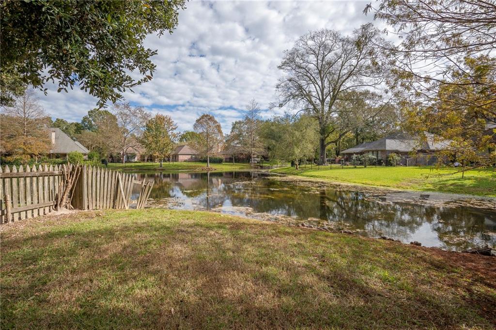 18697 Manchac Highlands Drive, Prairieville, Louisiana image 18