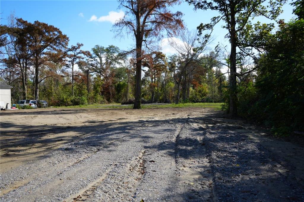 Main Street, La Place, Louisiana image 4