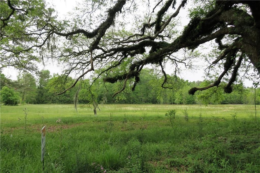 Copal Street, Mandeville, Louisiana image 1