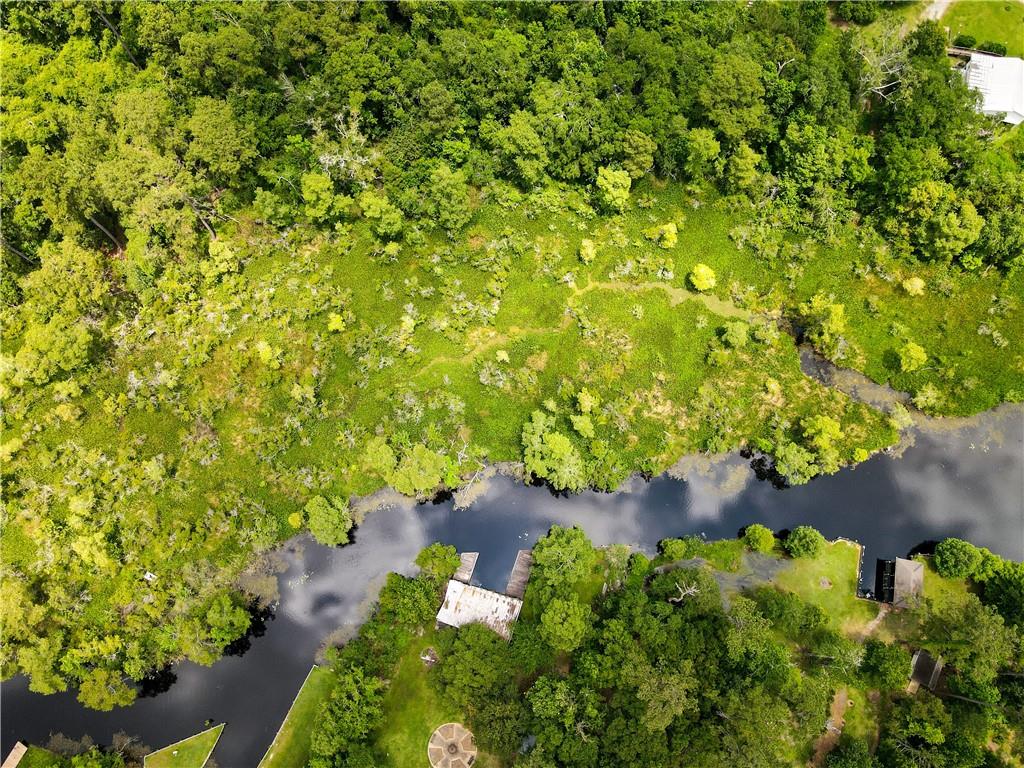 Bell Park Road, Lacombe, Louisiana image 1