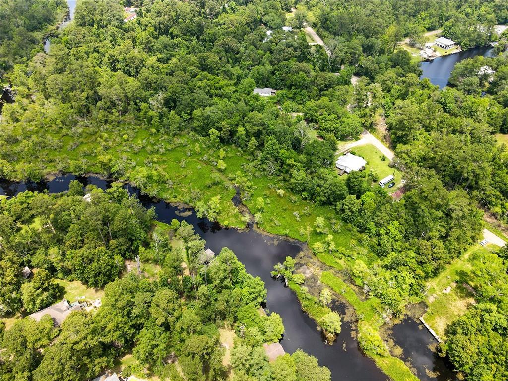 Bell Park Road, Lacombe, Louisiana image 5